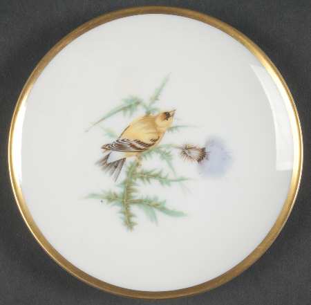 Audubon Bird Coaster
