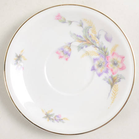 Belmont, The Saucer