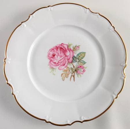 The Dundee Large Dinner Plate by Hutschenreuther