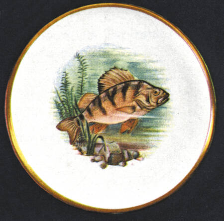 Fish Dinner Plate