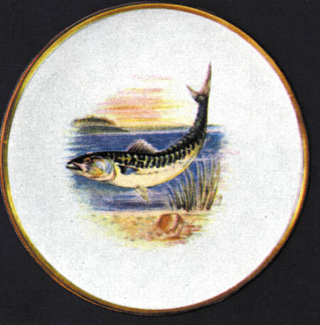 Fish Dinner Plate