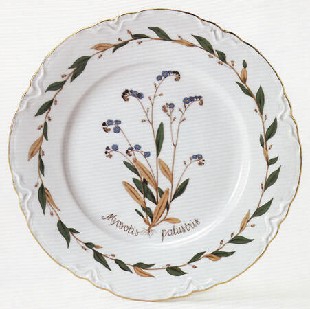 Flora Nordic by Hutschenreuther