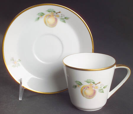 Fruit Flat Cup & Saucer Set by Hutschenreuther
