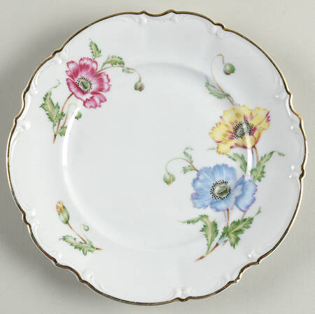 9041 Salad Plate by Hutschenreuther