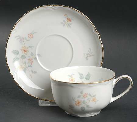 The Old Charleston Flat Cup & Saucer Set