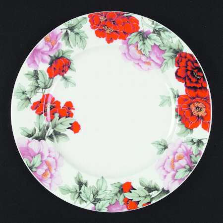 Scarlet Dinner Plate