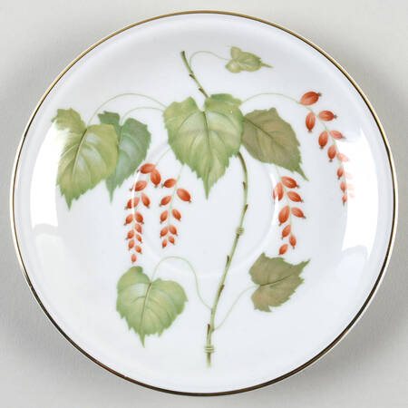 The Silver Poplar Saucer