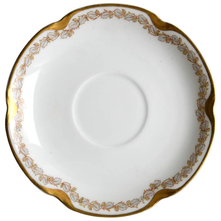 Schleiger 988 Saucer
