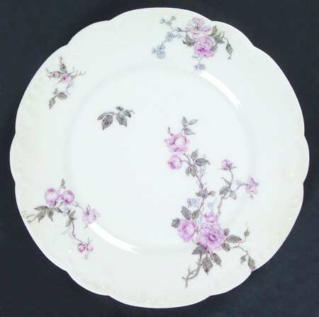Schleiger 266d by Haviland