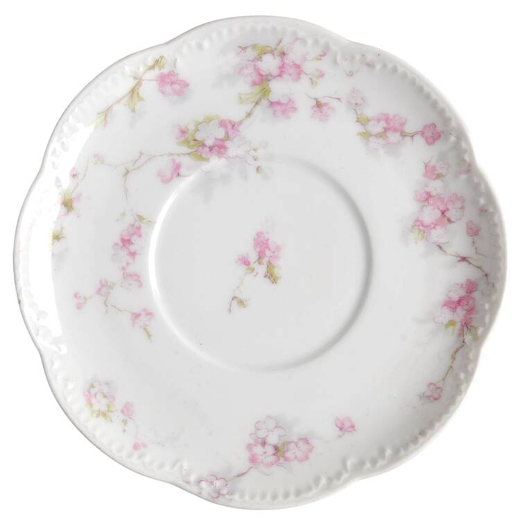 Schleiger 248V Saucer
