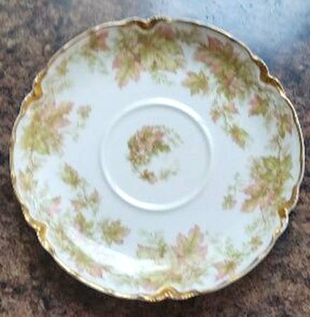 Schleiger 930-2 Saucer