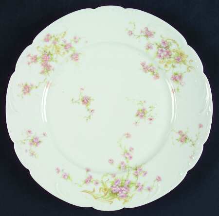 Schleiger 155c by Haviland