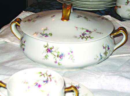 Schleiger 476 by Haviland
