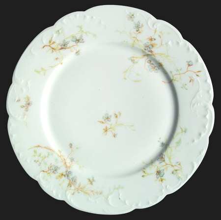 Schleiger 1167c by Haviland