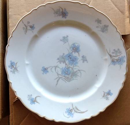 H636 Dinner Plate