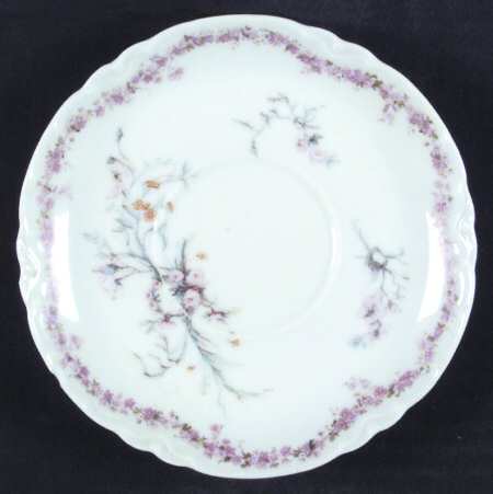 Schleiger 78-5 by Haviland