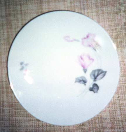 HUT620 Dinner Plate