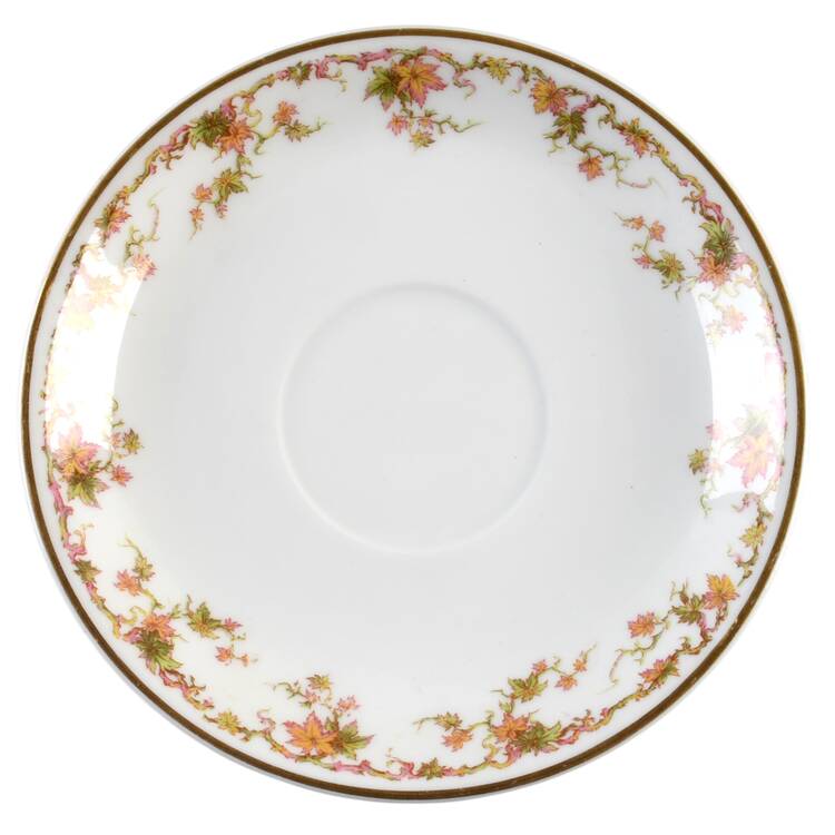 Schleiger 533 Saucer