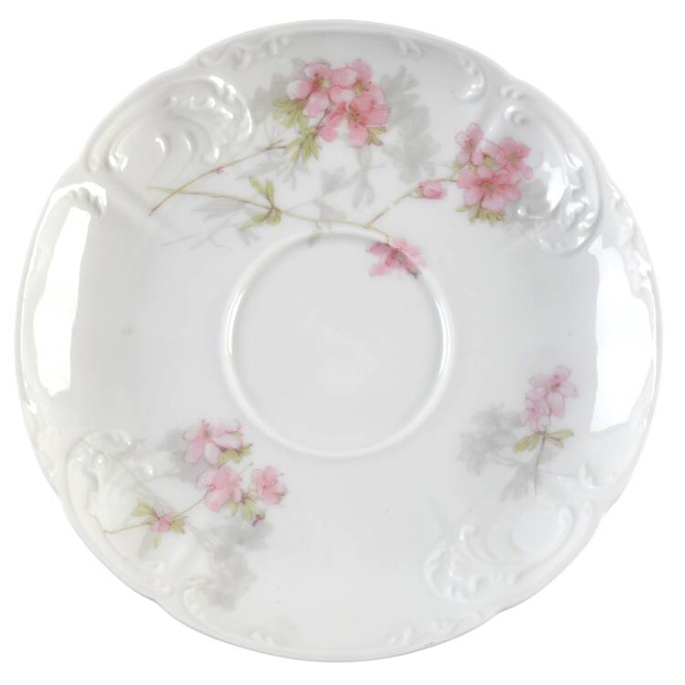Schleiger 83 Saucer