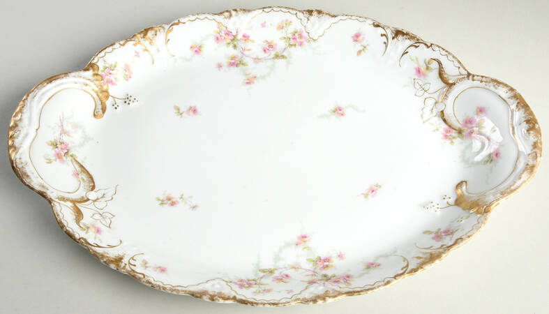 Schleiger 141f by Haviland