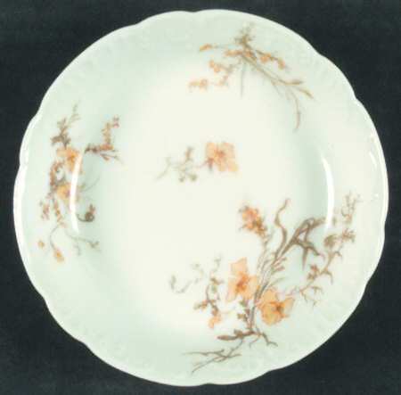 Schleiger 668h by Haviland