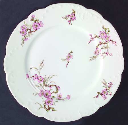 Schleiger 222b by Haviland