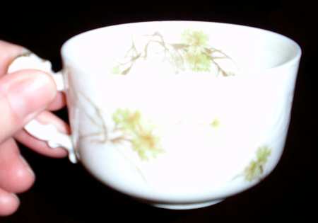 Schleiger 431 Flat Cup