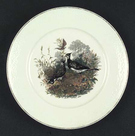 H743 Luncheon Plate