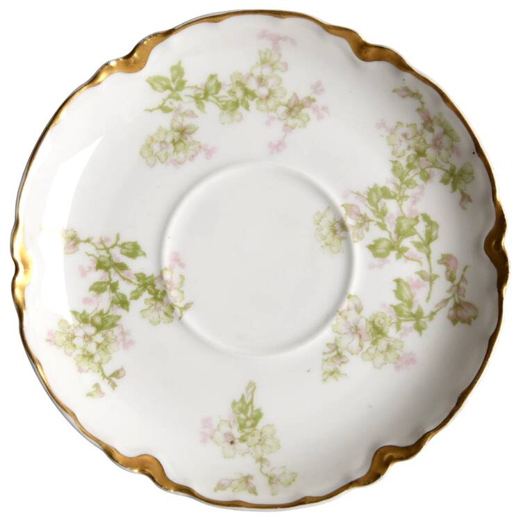 Schleiger 61L Saucer