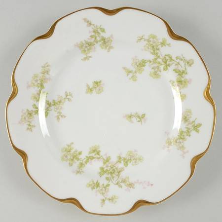 Schleiger 61A by Haviland