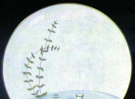 Sepia Dinner Plate