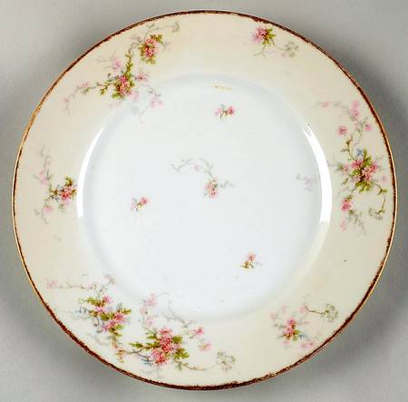 Schleiger 839-2 by Haviland