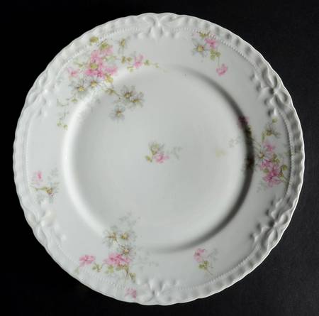 Schleiger 331 by Haviland
