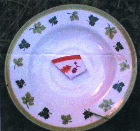 HLC141G Saucer