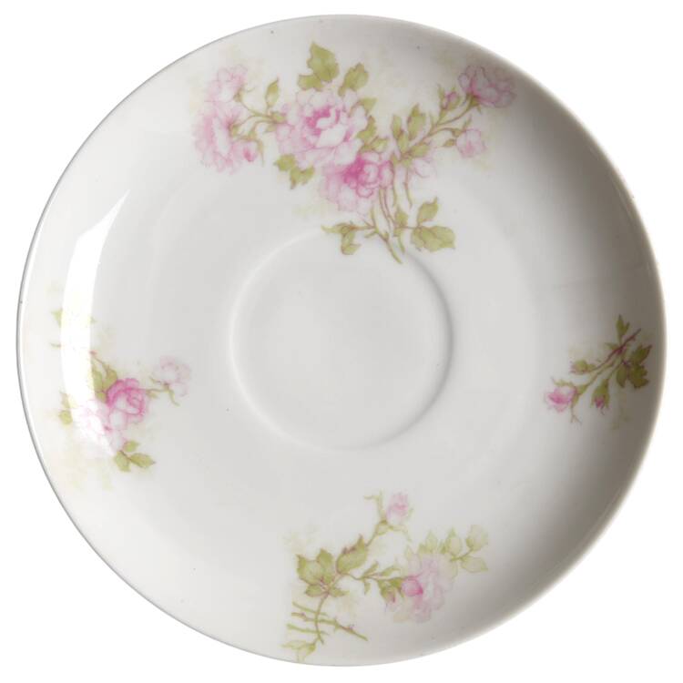 Schleiger 30F Saucer