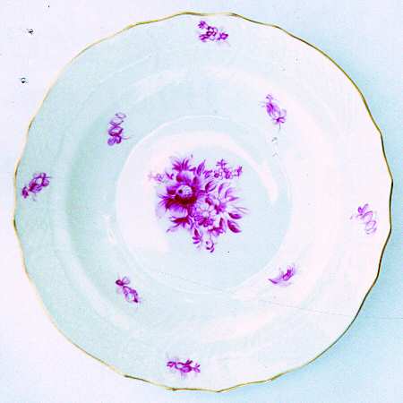 HER17 Dinner Plate