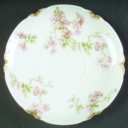Schleiger 58 Saucer
