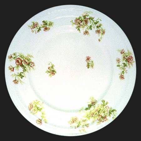 Schleiger 466a by Haviland