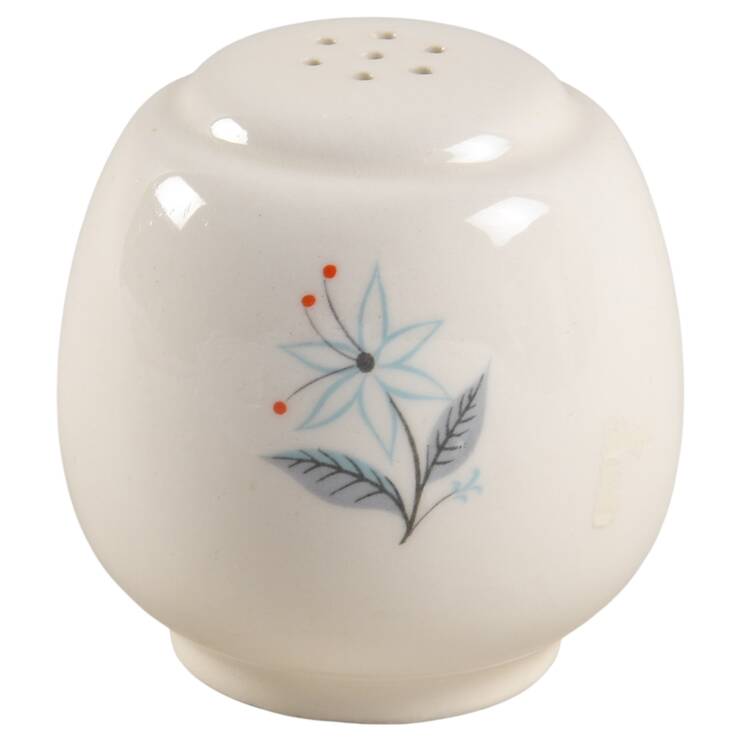 HLC935 Salt Shaker