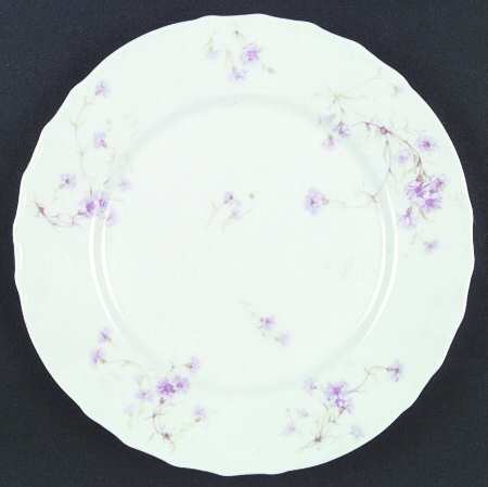 Schleiger 1019-1 by Haviland