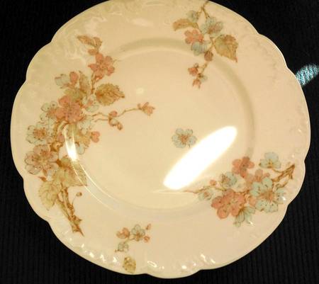 Schleiger 658 by Haviland