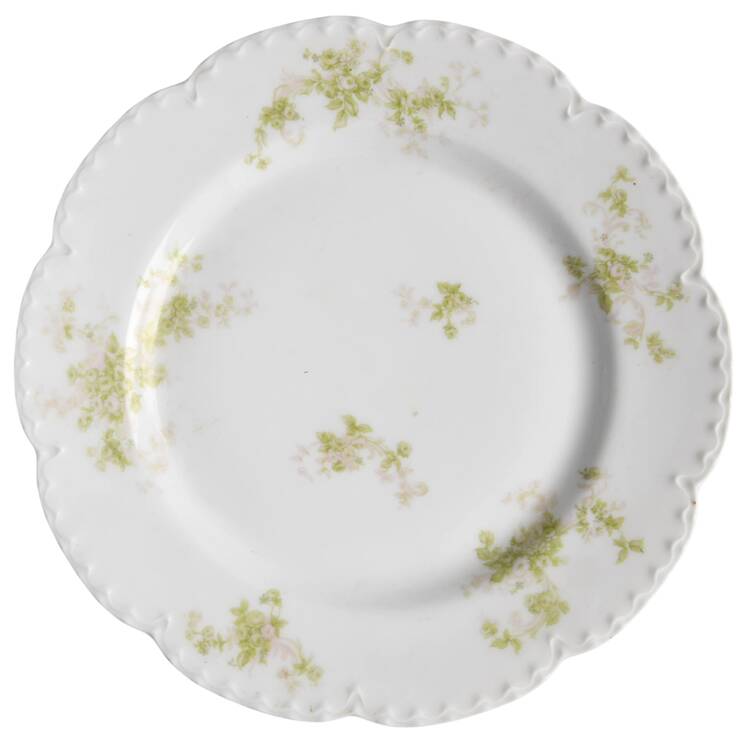 Schleiger 228g by Haviland