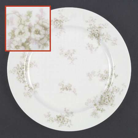 Schleiger 1173-3 by Haviland