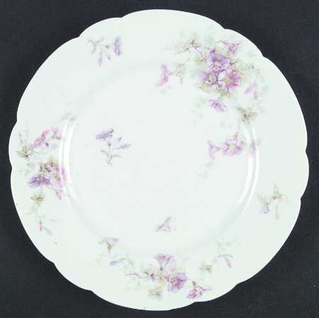Schleiger 333-6 by Haviland
