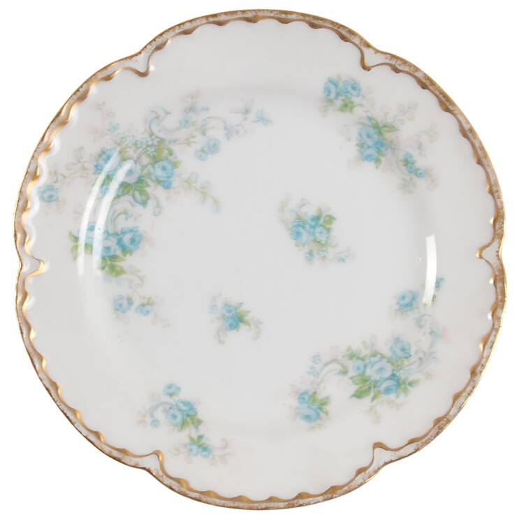 Schleiger 228e by Haviland