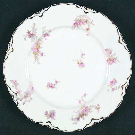Schleiger 223-1 by Haviland
