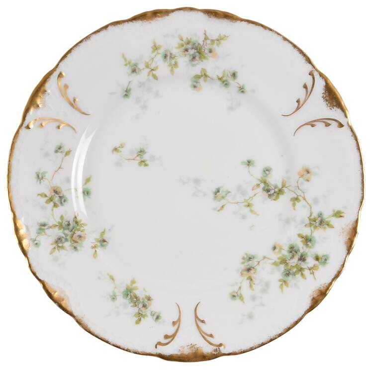 Schleiger 150g by Haviland