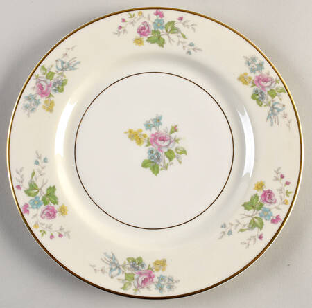 H895 Dinner Plate by Haviland