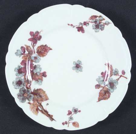 Schleiger 658-7 by Haviland
