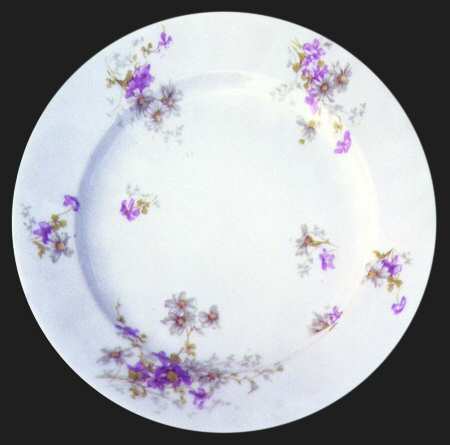 Schleiger 331-6 by Haviland